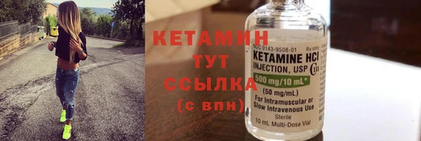 индика Слюдянка