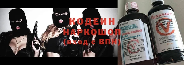 ГАЛЛЮЦИНОГЕННЫЕ ГРИБЫ Аркадак