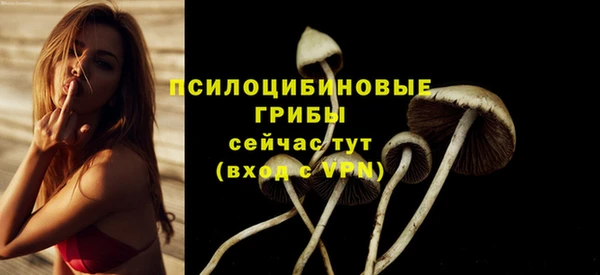спиды Балабаново