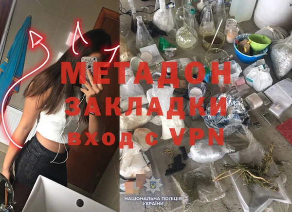 ГАЛЛЮЦИНОГЕННЫЕ ГРИБЫ Аркадак