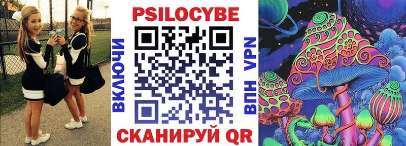 купить  сайты  Богданович  Псилоцибиновые грибы GOLDEN TEACHER 